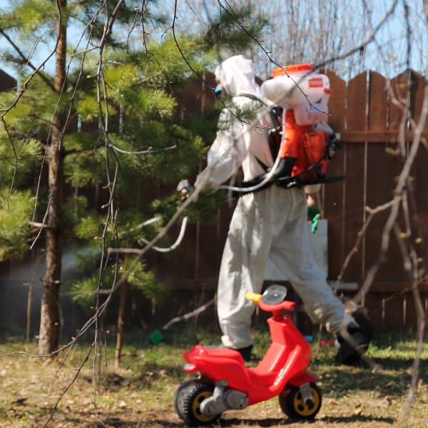 Обработка участка от клещей в Семее?